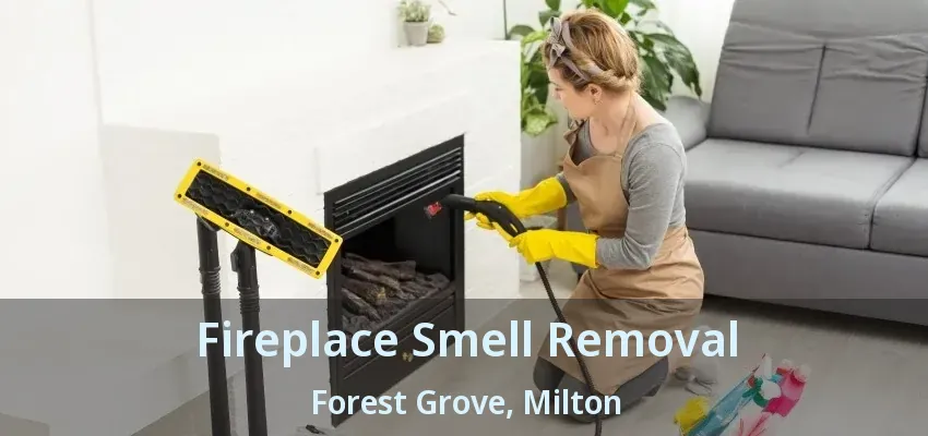 Fireplace Smell Removal Forest Grove, Milton - ON