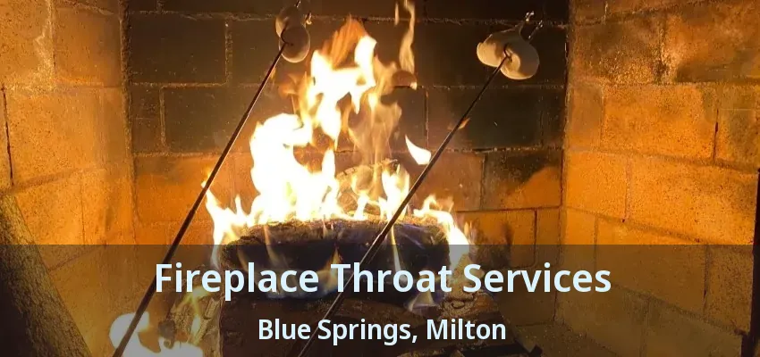 Fireplace Throat Services Blue Springs, Milton - ON