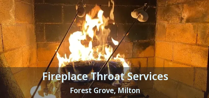 Fireplace Throat Services Forest Grove, Milton - ON