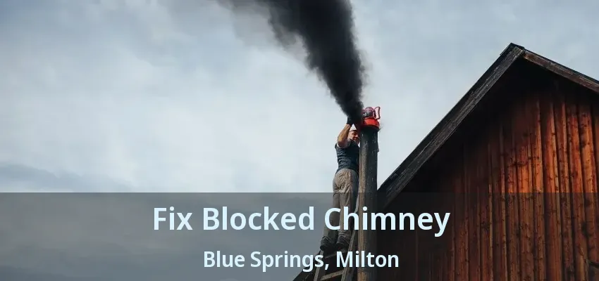 Fix Blocked Chimney Blue Springs, Milton - ON