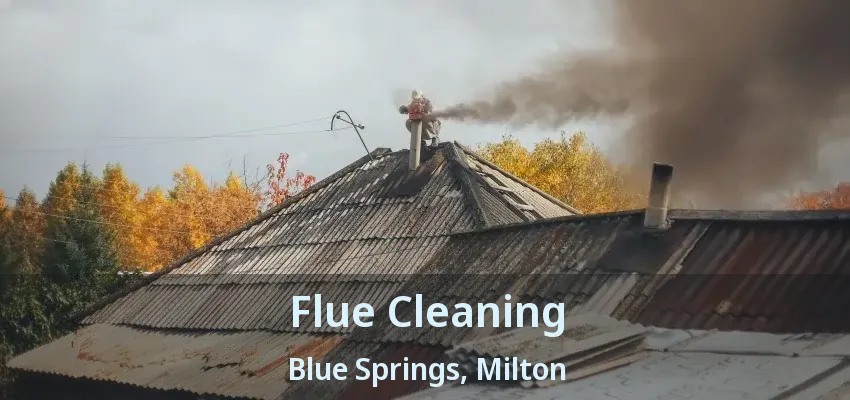 Flue Cleaning Blue Springs, Milton - ON