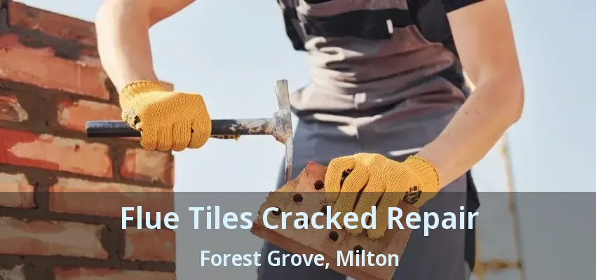 Flue Tiles Cracked Repair Forest Grove, Milton - ON