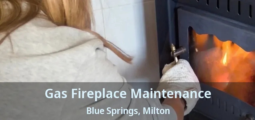 Gas Fireplace Maintenance Blue Springs, Milton - ON