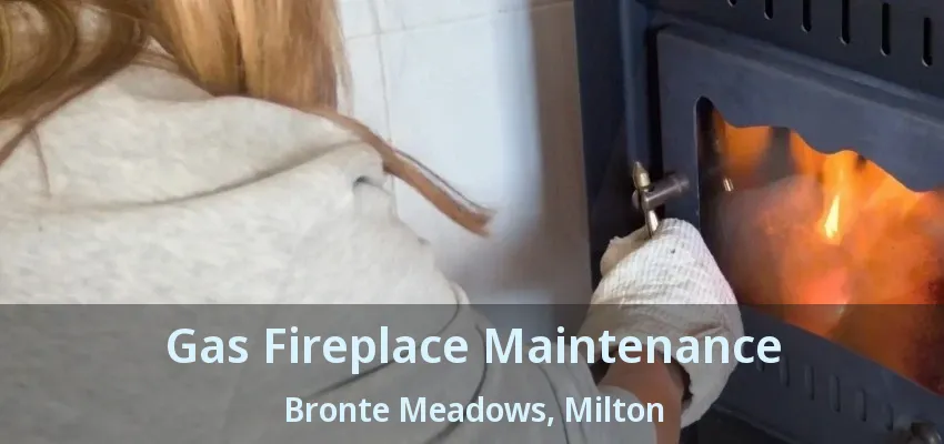 Gas Fireplace Maintenance Bronte Meadows, Milton - ON