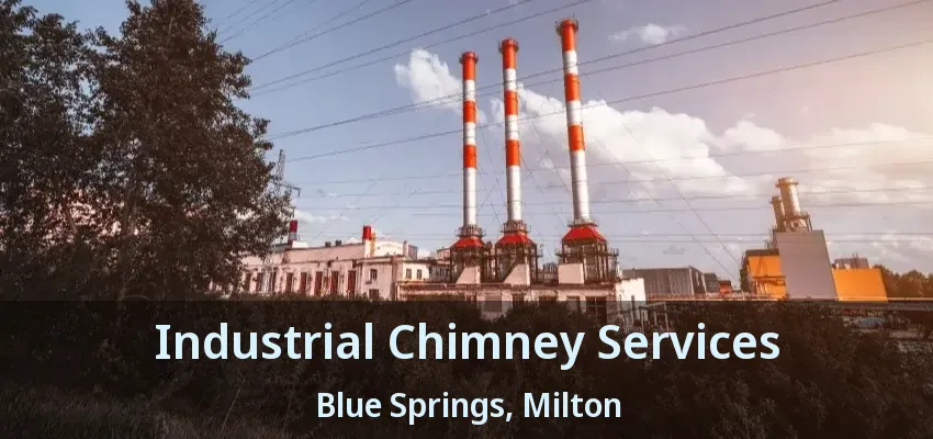Industrial Chimney Services Blue Springs, Milton - ON