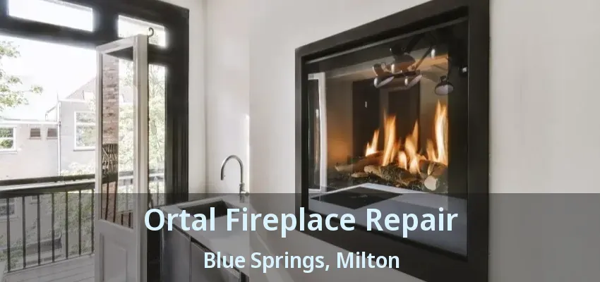 Ortal Fireplace Repair Blue Springs, Milton - ON