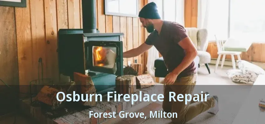 Osburn Fireplace Repair Forest Grove, Milton - ON