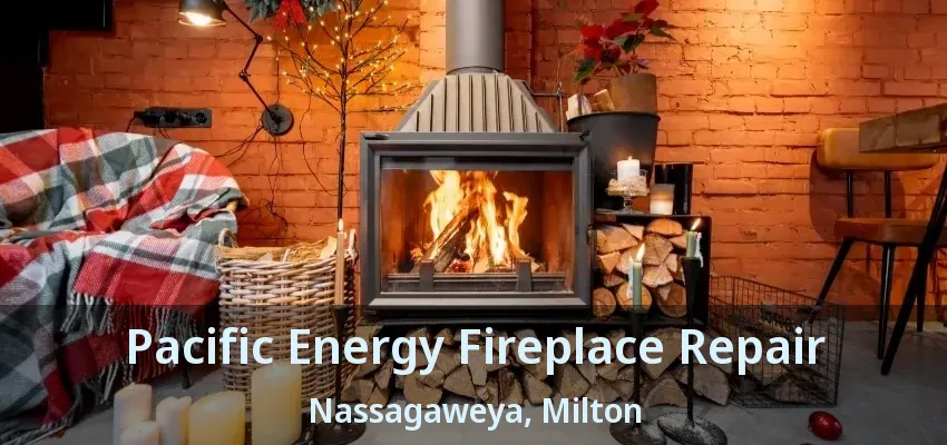 Pacific Energy Fireplace Repair Nassagaweya, Milton - ON