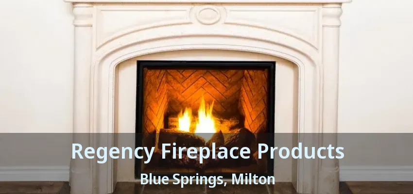 Regency Fireplace Products Blue Springs, Milton - ON