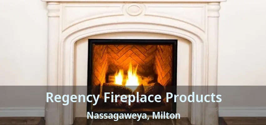 Regency Fireplace Products Nassagaweya, Milton - ON