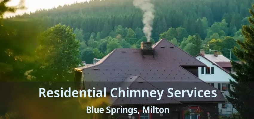 Residential Chimney Services Blue Springs, Milton - ON