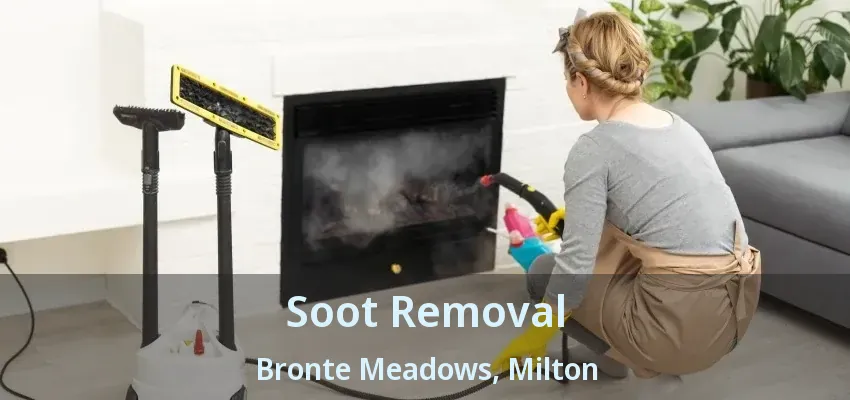Soot Removal Bronte Meadows, Milton - ON