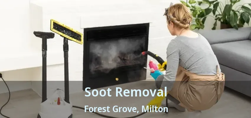 Soot Removal Forest Grove, Milton - ON