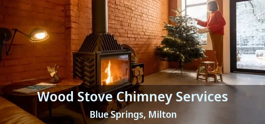 Wood Stove Chimney Services Blue Springs, Milton - ON