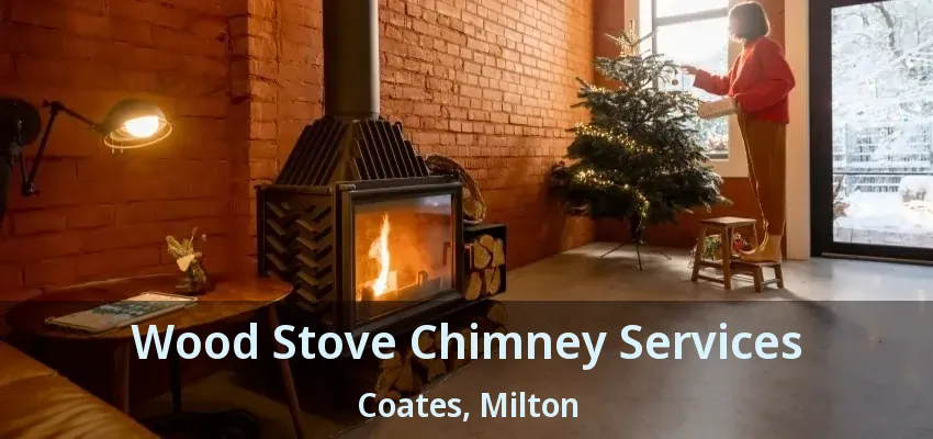 Wood Stove Chimney Services Coates, Milton - ON