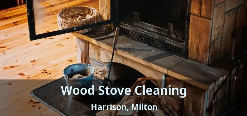 Wood Stove Cleaning Harrison, Milton - ON