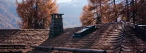 Chimney Animal Removal Blue Springs, Milton