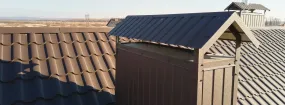 Chimney Cap Services Blue Springs, Milton